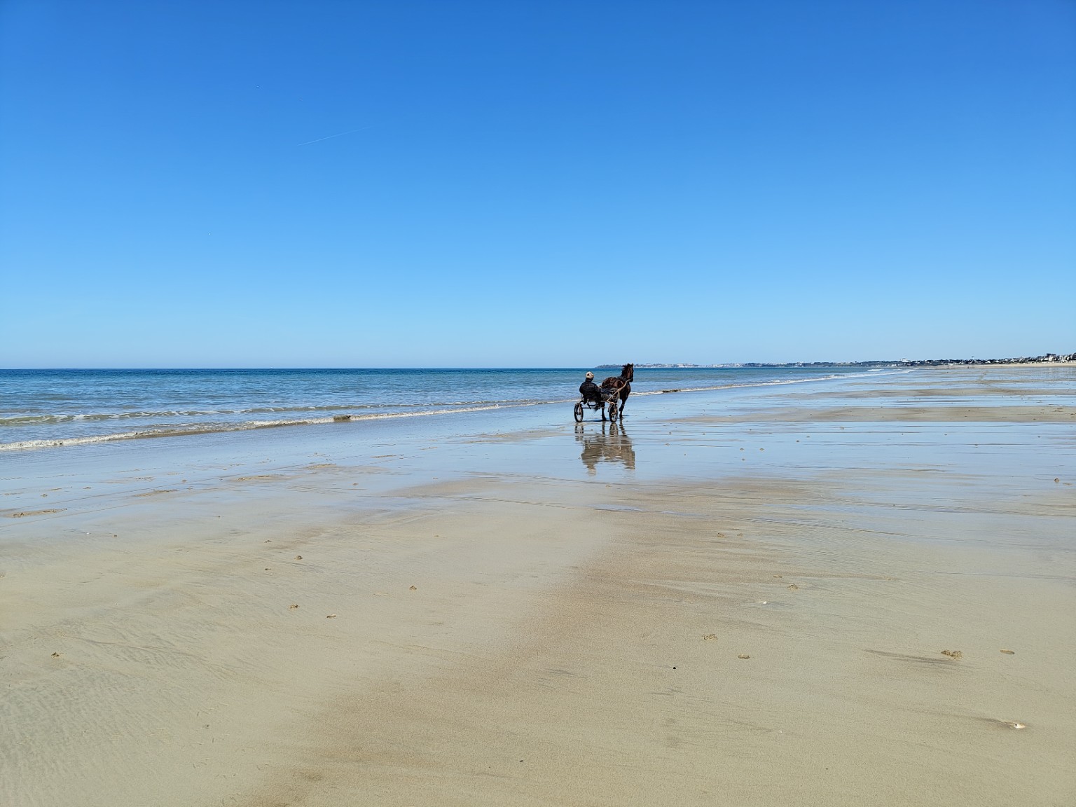 A morning on the strand